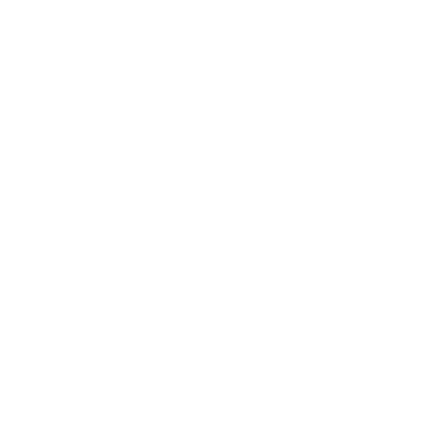 EVA-Fußmatten für Toyota Corolla XI E160 2013-2019
