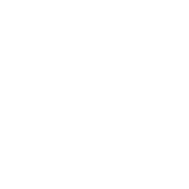 EVA-Fußmatten für Toyota Land Cruiser J80 1990-1997