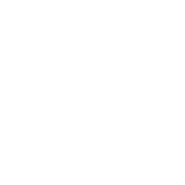 Dywaniki EVA do Toyota RAV4 II 2000-2003 (3 drzwi) 2000-2003