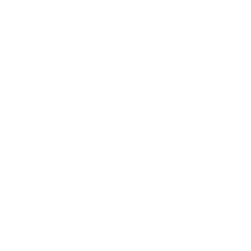 Dywanik EVA kierowcy do Volkswagen Golf V 2003-2009 - obrys