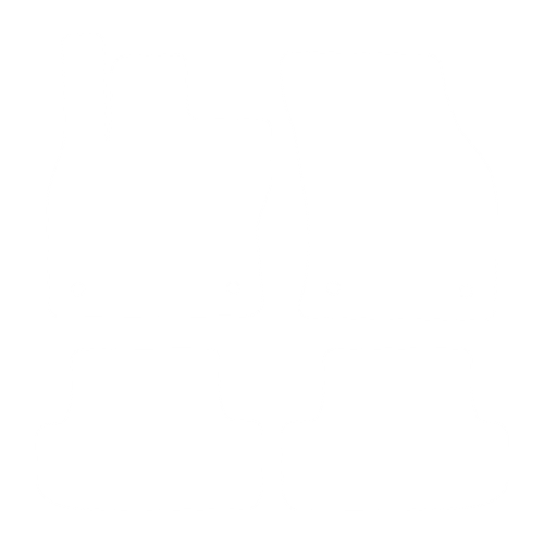 Dywanik EVA kierowcy do Audi Q2 2016- - obrys