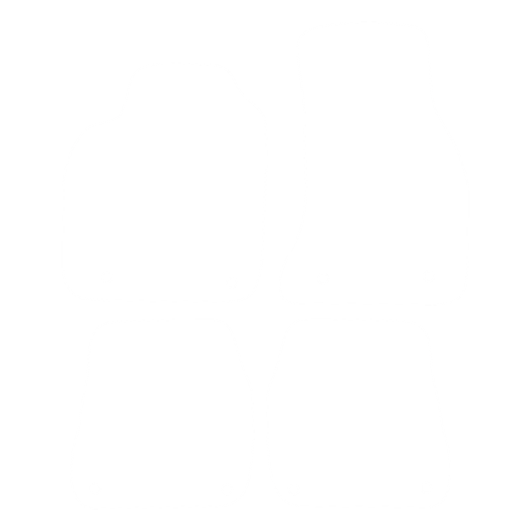 Dywanik EVA kierowcy do Audi RS6 II C5 2002-2005 - obrys