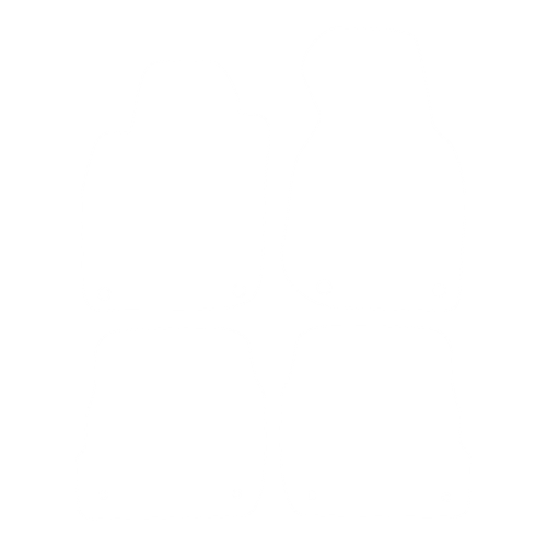 Dywanik EVA kierowcy do Audi A6 II C5 2002-2004 - obrys