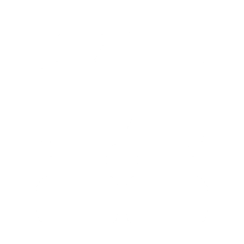 Dywanik EVA kierowcy do BMW 5 seria E39 1996-2003 - obrys