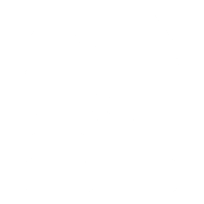 Dywaniki EVA do Dacia Logan III 2020