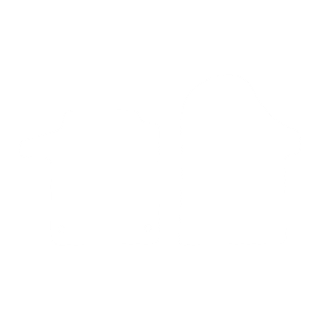 Dywaniki EVA do Mercedes Vito V-klass II W447 (5 siedzeń) (wersja z 4 szynami) 2015