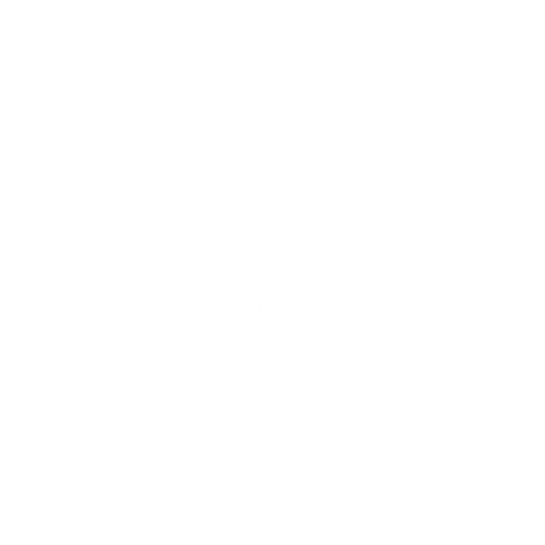 Dywanik EVA kierowcy do Mercedes Vito I W638 (2/3 siedzenia) 1997-2003 - obrys