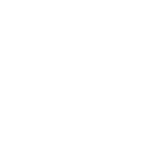 Dywanik EVA kierowcy do Mercedes Sprinter I W903 (3 siedzenia) 1996-1999 - obrys