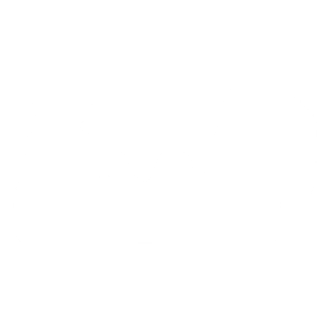 Dywaniki EVA do Mercedes Sprinter I W903 (3 siedzenia) 1996-1999