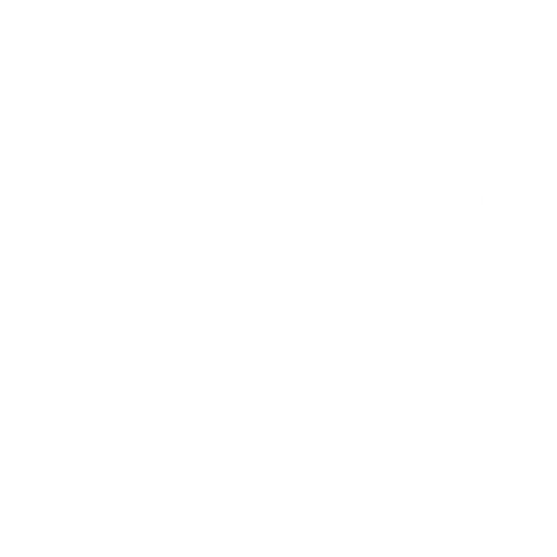 Dywanik EVA kierowcy do Mercedes Sprinter III W907 2018- - obrys