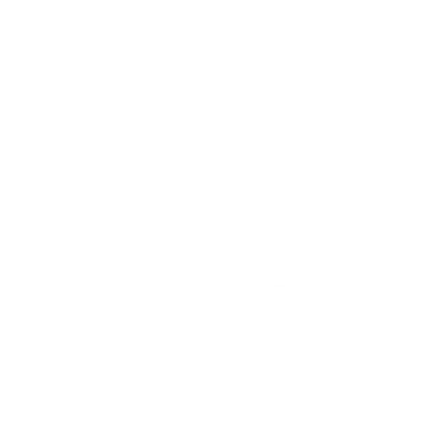 Dywaniki EVA do Renault Megane II CC 2004-2008