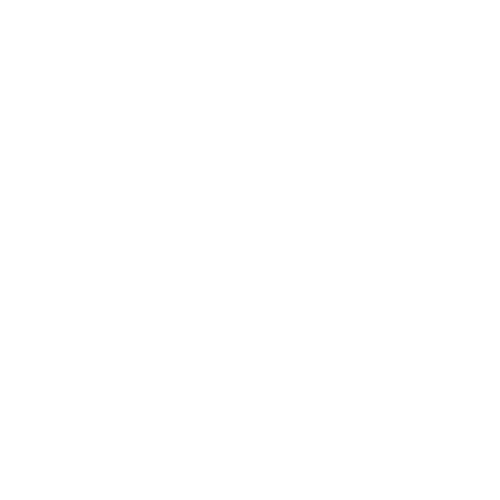 Dywanik EVA kierowcy do Renault Master II Lift 2003-2010 - obrys