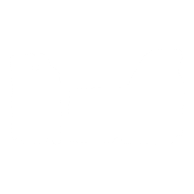 Dywaniki EVA do Renault Master II Lift 2003-2010