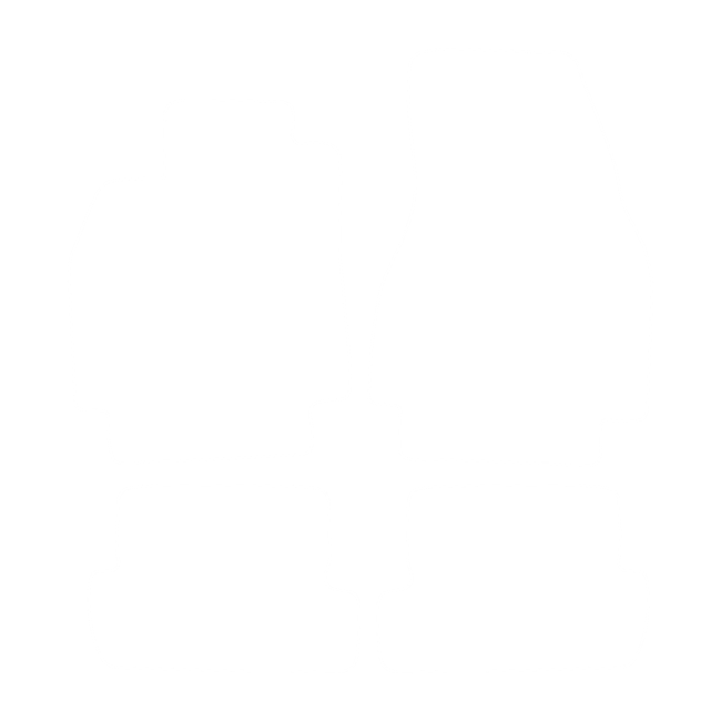 Dywaniki EVA do Renault Megane II 2002-2008