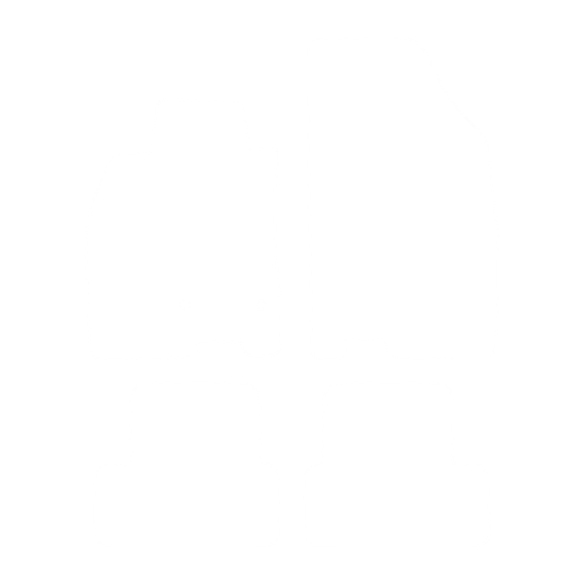 Dywaniki EVA do Renault Fluence 2009-2016