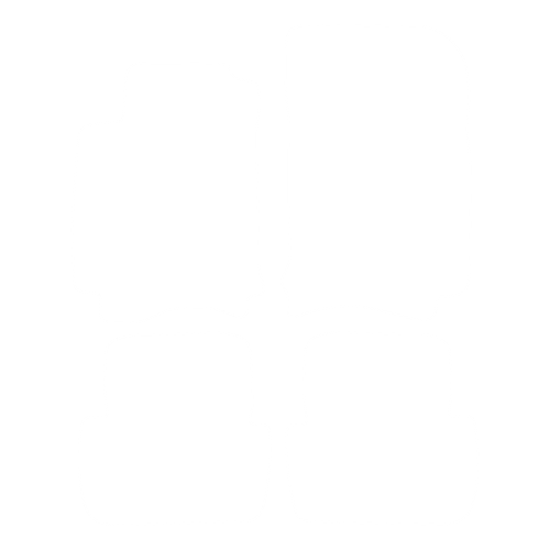 Dywanik EVA kierowcy do Renault Laguna II 2001-2007 - obrys