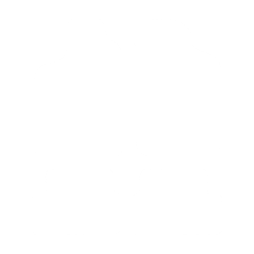 Dywanik EVA kierowcy do Renault Laguna I lift 1998-2001 - obrys