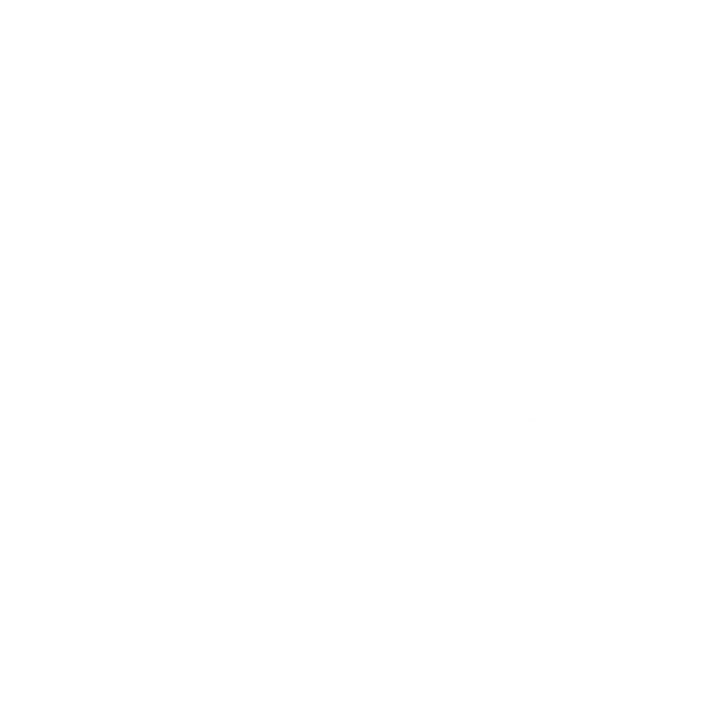 Dywaniki EVA do Renault Clio V 2019