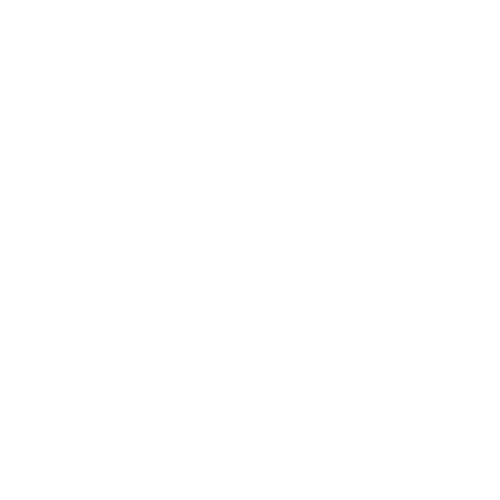 Dywanik EVA kierowcy do Renault Megane E-Tech Electric 2022- - obrys