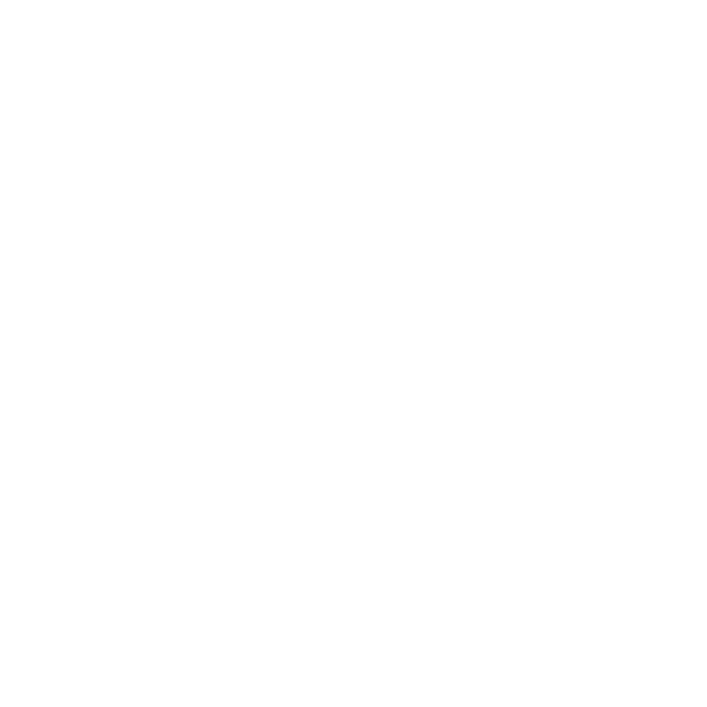 Dywaniki EVA do Suzuki Swift III 1996-2004