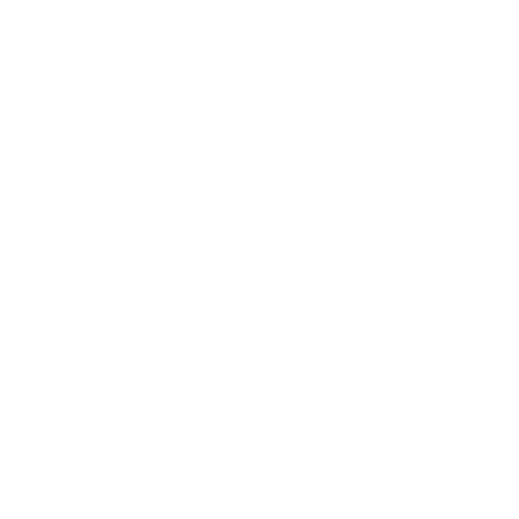 Dywanik EVA kierowcy do Volkswagen T-Cross 2018- - obrys