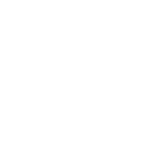 Dywanik EVA kierowcy do Volkswagen Caddy IV (2 siedzenia) 2020- - obrys