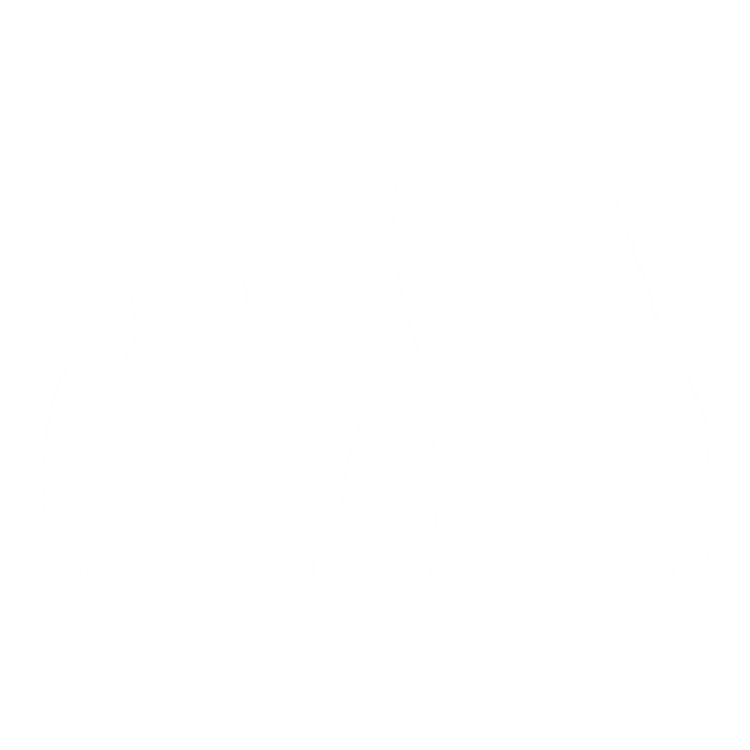 Dywanik EVA kierowcy do Volkswagen Caddy IV (2 siedzenia) 2020- - obrys