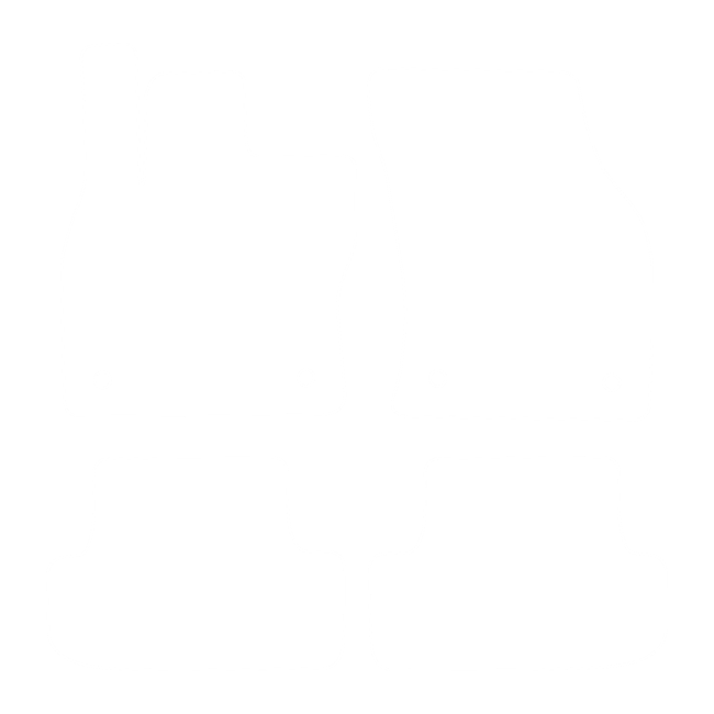 Dywaniki EVA do Audi Q2 2016