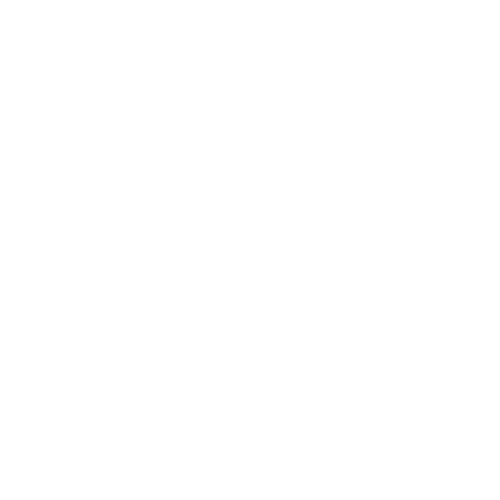 Dywaniki EVA przód do Audi A4 V B9 Avant 2015-2019 - obrys