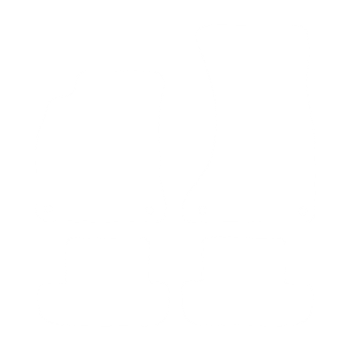 Dywaniki EVA przód do Audi RS5 2010-2015 - obrys