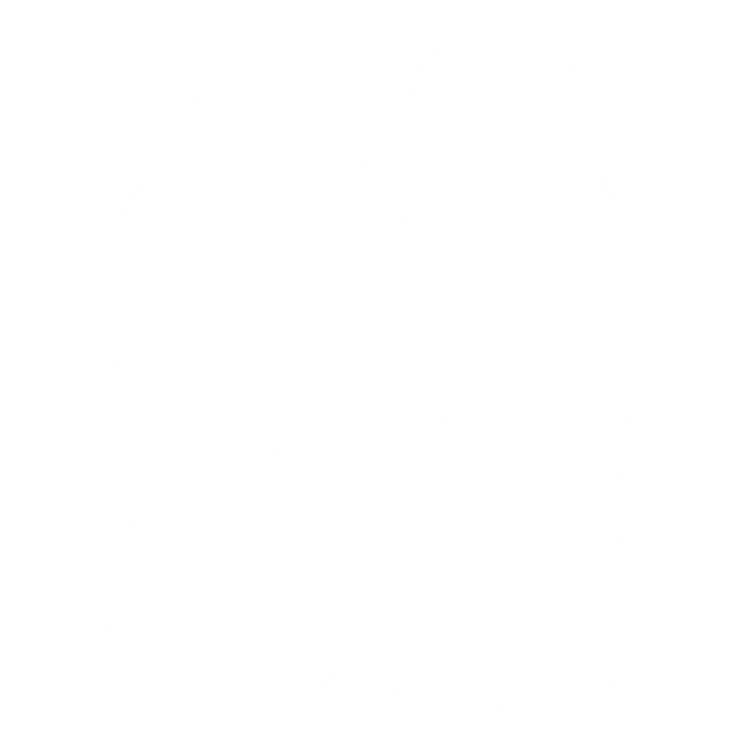 Dywaniki EVA przód do Audi A6 II C5 2002-2004 - obrys