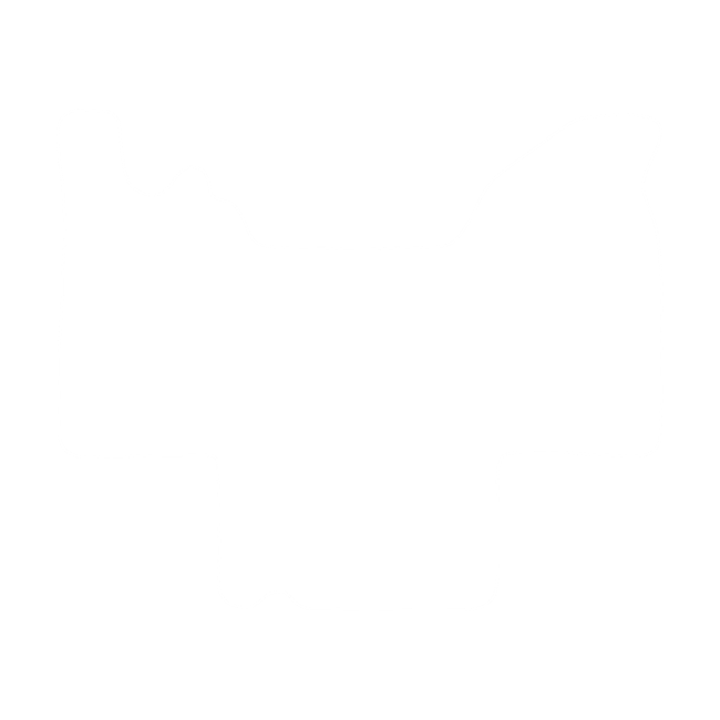 Dywaniki EVA do Camper Ford Transit -2006