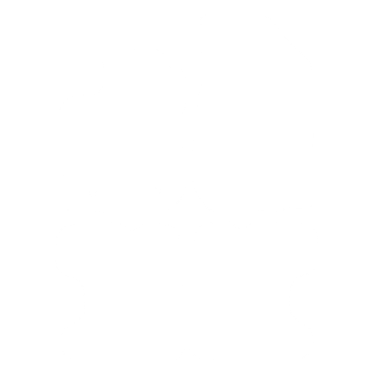 Dywaniki EVA przód do Dacia Sandero Stepway I 2013-2018 - obrys