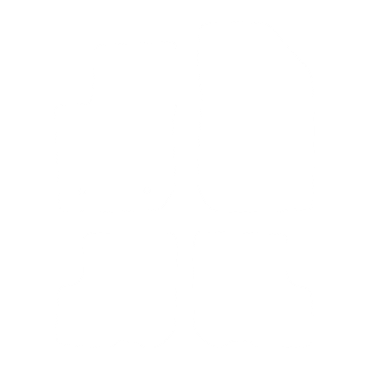 Dywaniki EVA przód do Dacia Logan II 2012-2020 - obrys