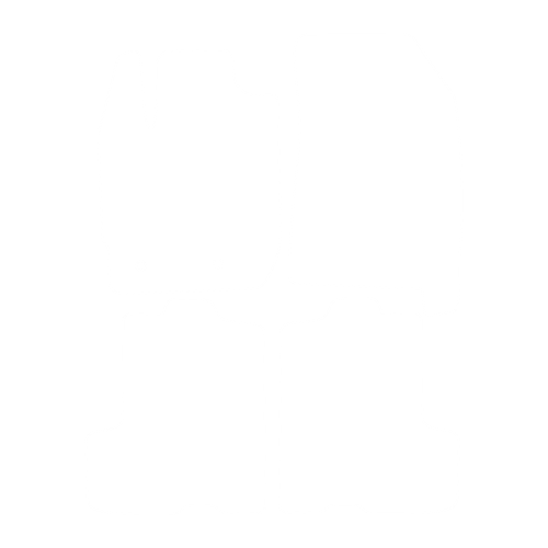 Dywaniki EVA przód do Dacia Duster II 2018- - obrys