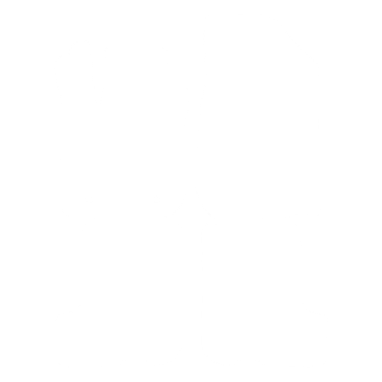 Dywaniki EVA przód do Dacia Sandero Stepway II 2018- - obrys