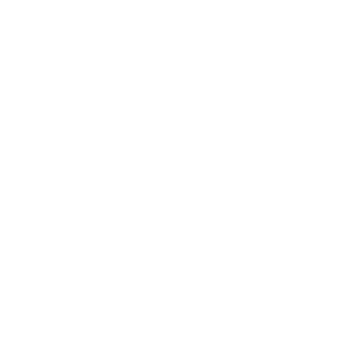 Dywaniki EVA przód do Mercedes E-klass W210 4-matic 1995-2002 - obrys