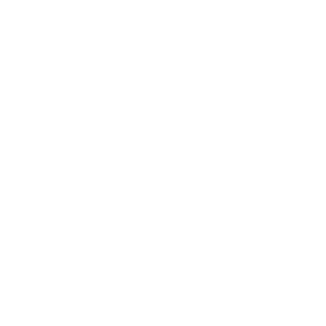 Dywaniki EVA do Fiat Scudo I (3 siedzenia) 2002-2006