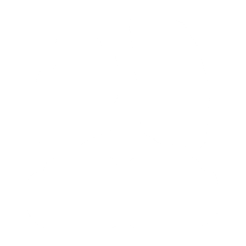 Dywaniki EVA przód do Mitsubishi Colt V 1996-2003 - obrys