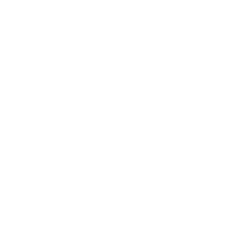 Dywaniki EVA przód do Mitsubishi Carisma 1995-2004 - obrys