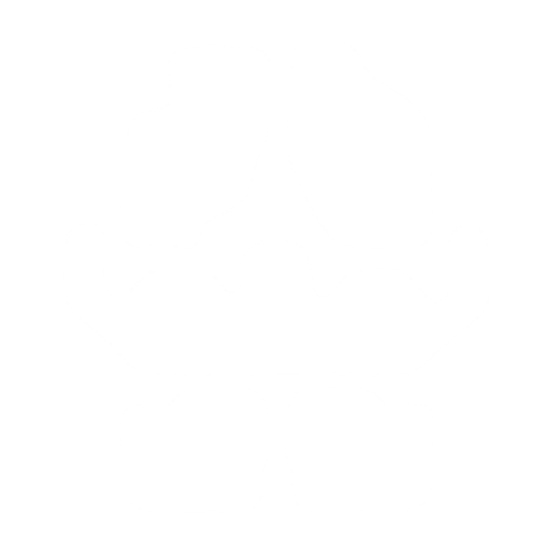 Dywaniki EVA przód do Mitsubishi Space Wagon II 1993-1998 - obrys