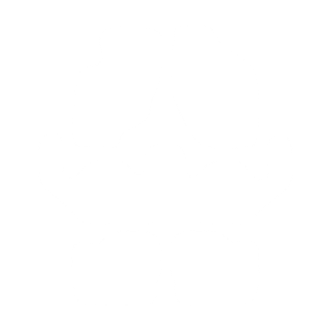Dywaniki EVA do Mitsubishi Space Wagon II 1993-1998