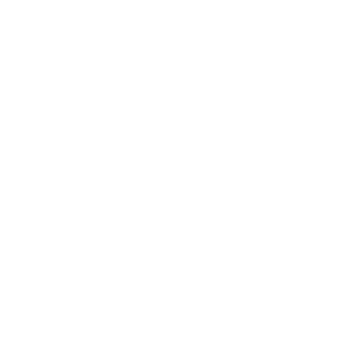 Dywaniki EVA przód do Mitsubishi Grandis (5 siedzeń) 2003-2011- - obrys