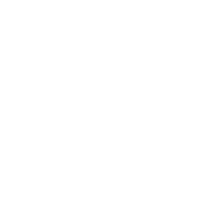Dywaniki EVA przód do Mercedes R-klass V251 Wersja Długa (7 siedzeń) 2005-2013 - obrys