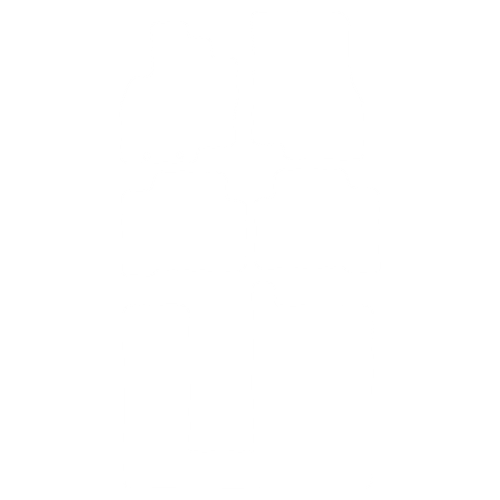 Dywaniki EVA przód do Mitsubishi Grandis (7 siedzeń) 2003-2011- - obrys