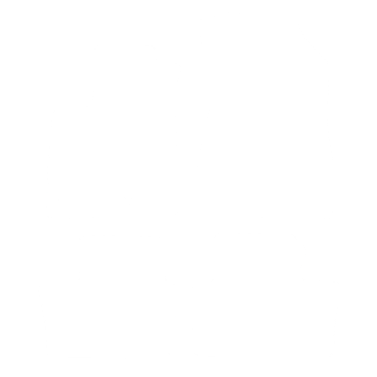 Dywaniki EVA przód do Renault Austral MHEV 2022- - obrys