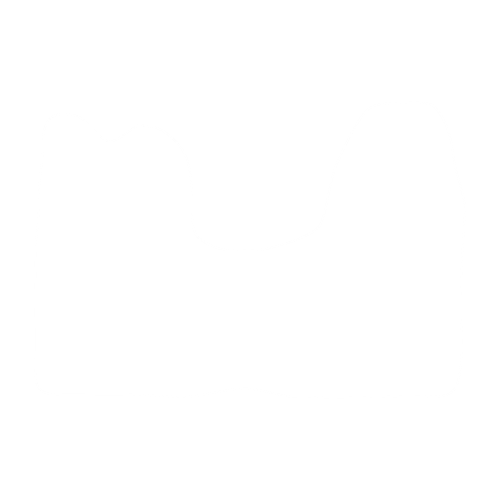 Dywaniki EVA przód do Renault Trafic III (3 siedzenia) 2014- - obrys