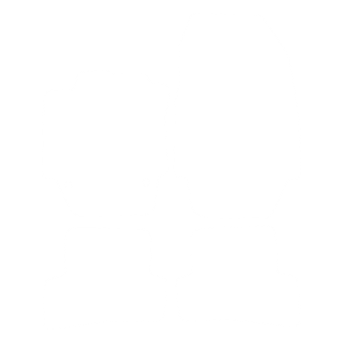 Dywaniki EVA przód do Renault Captur I 2013-2019 - obrys