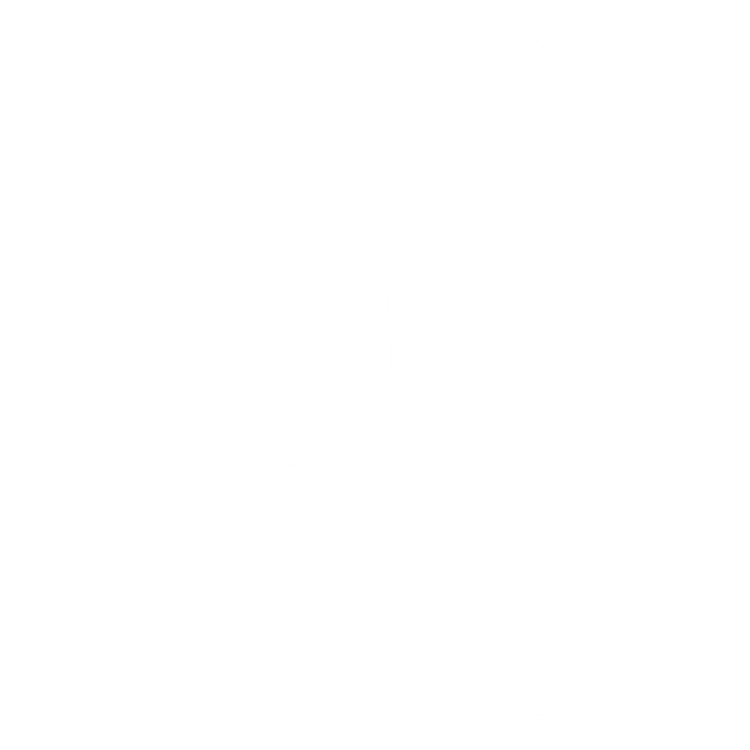 Dywaniki EVA przód do Renault Megane III 2008-2015 - obrys