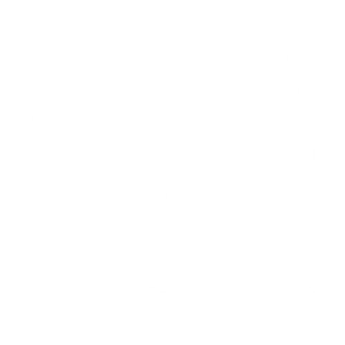 Dywaniki EVA przód do Renault Megane II CC 2004-2008 - obrys